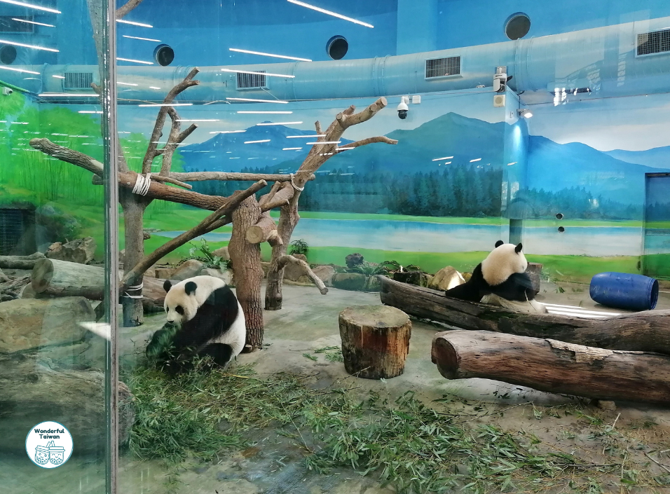 Taipei &aacute;llatkert pand&aacute;k